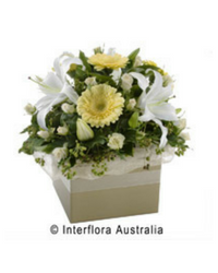 Box arrangement flowers Bendigo