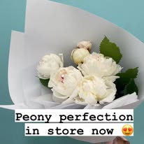 501380126 18400405531129353 2163200550635702167 N